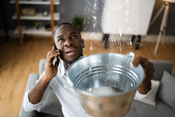 Best Mold removal after water damage  in Rollingwood, CA