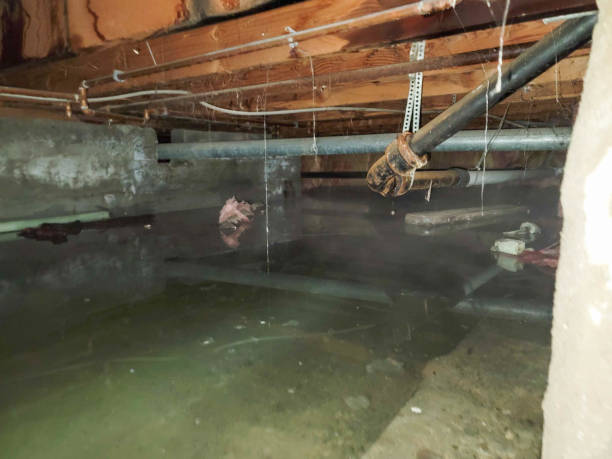Best 24/7 water damage repair  in Rollingwood, CA