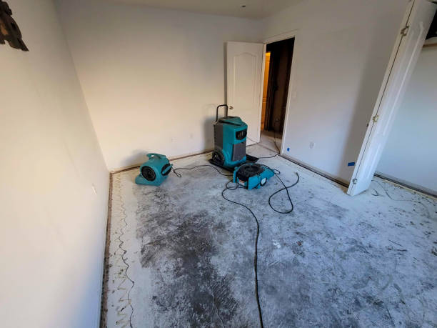 Best Flooded house restoration  in Rollingwood, CA