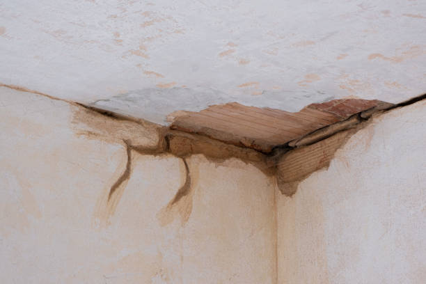 Best Residential water damage restoration  in Rollingwood, CA