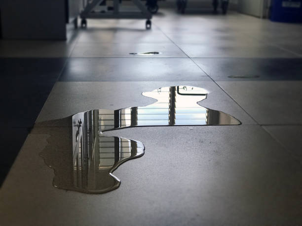 Best Commercial water damage restoration  in Rollingwood, CA