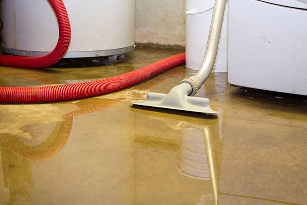 Best Water damage cleanup near me  in Rollingwood, CA