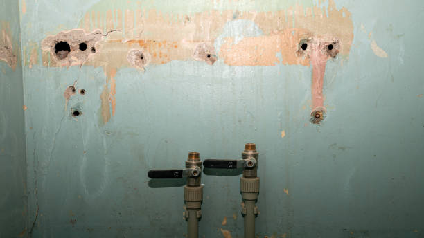 Best Local water damage restoration  in Rollingwood, CA
