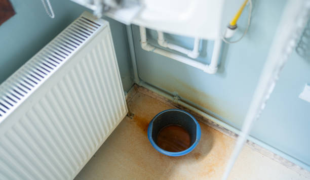 Best Ceiling water damage repair  in Rollingwood, CA
