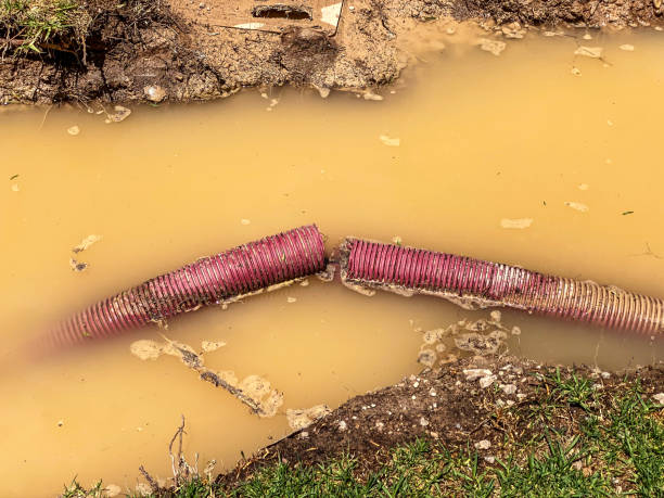 Best Water damage restoration services  in Rollingwood, CA