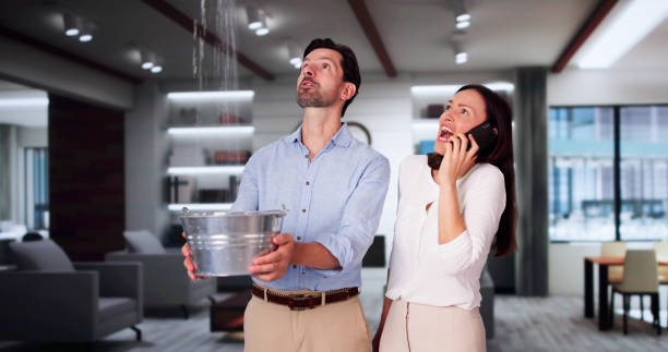 Best Water damage contractors near me  in Rollingwood, CA