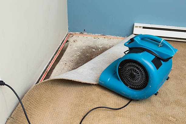 Best Flood restoration services  in Rollingwood, CA